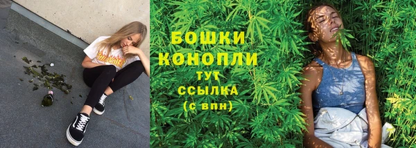 соль ск Липки